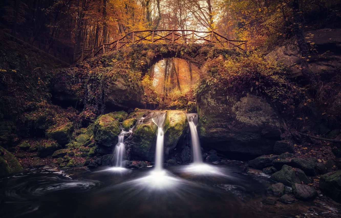 Photo wallpaper autumn, forest, bridge, stones, shore, waterfall, arch, old