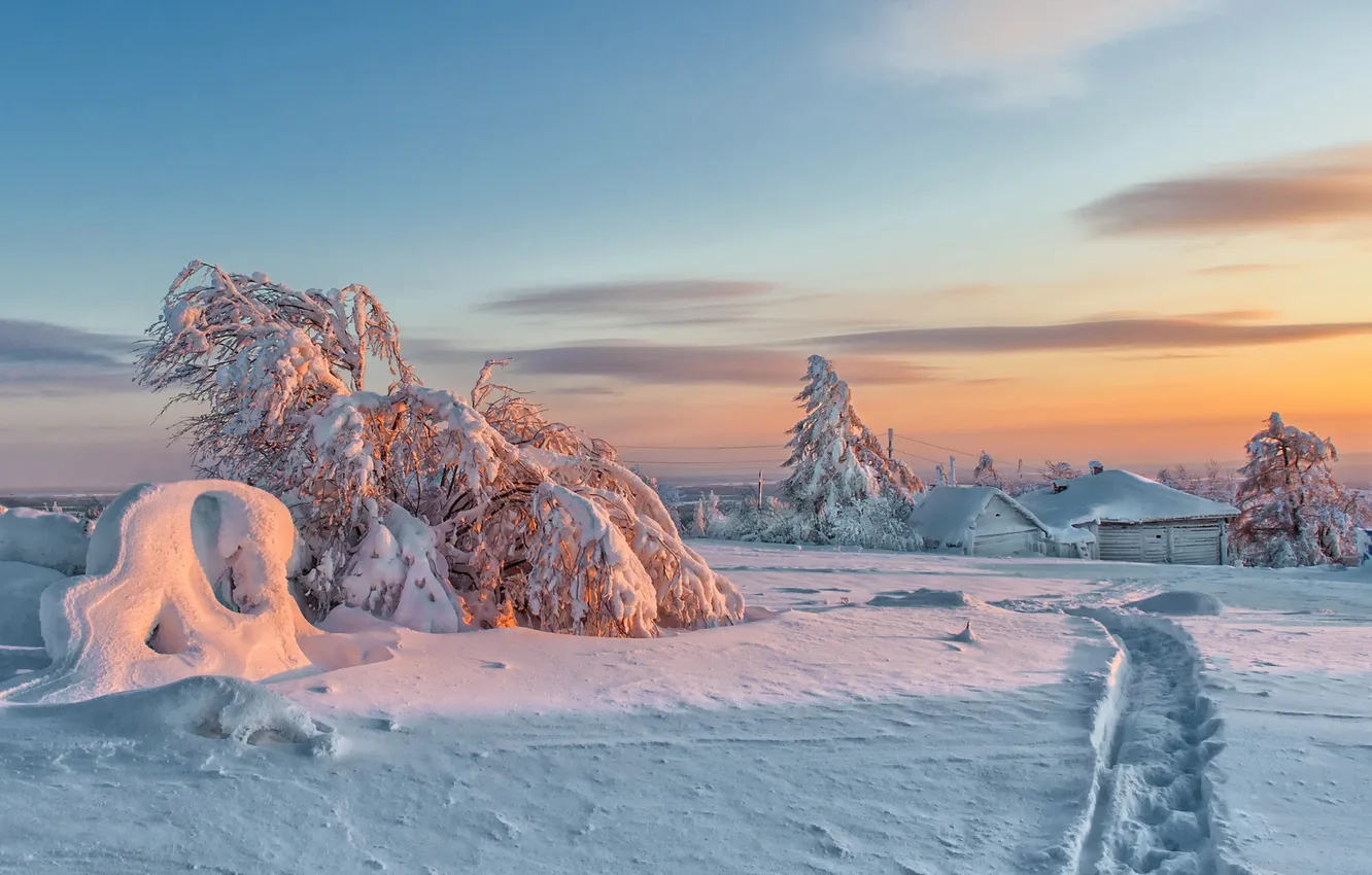 Photo wallpaper winter, snow, landscape, sunset