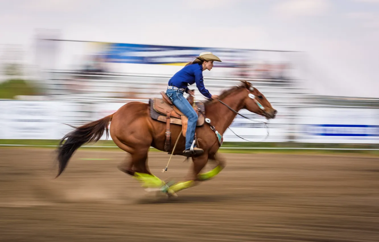 Photo wallpaper horse, sport, running