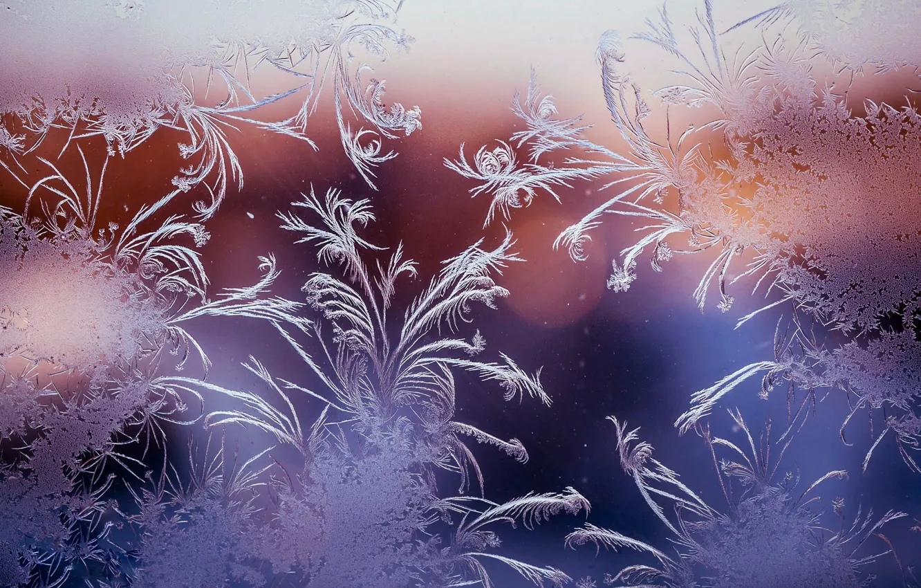Photo wallpaper winter, glass, patterns, window, frost, bokeh