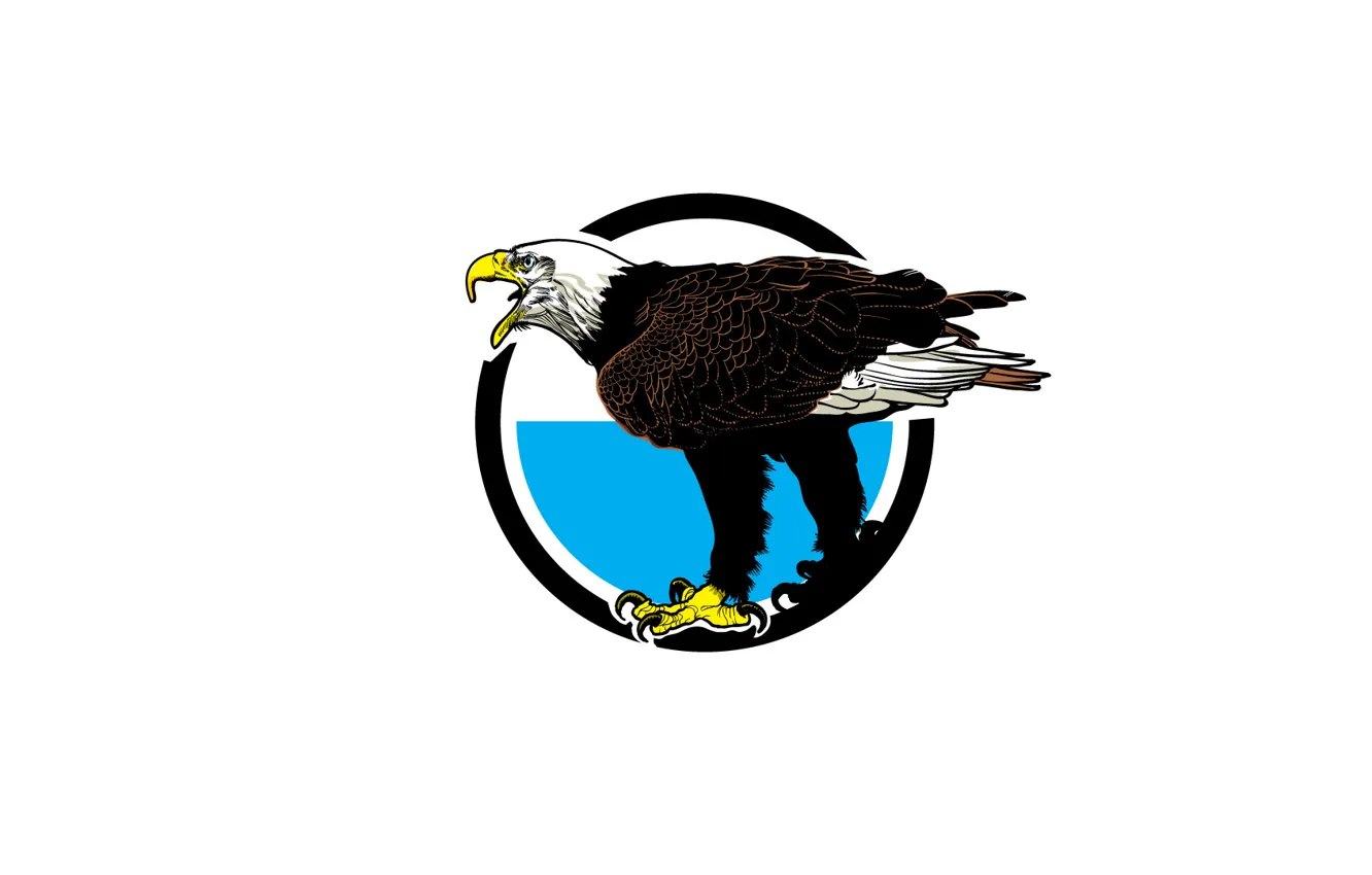 Photo wallpaper bird, eagle, predator, beak