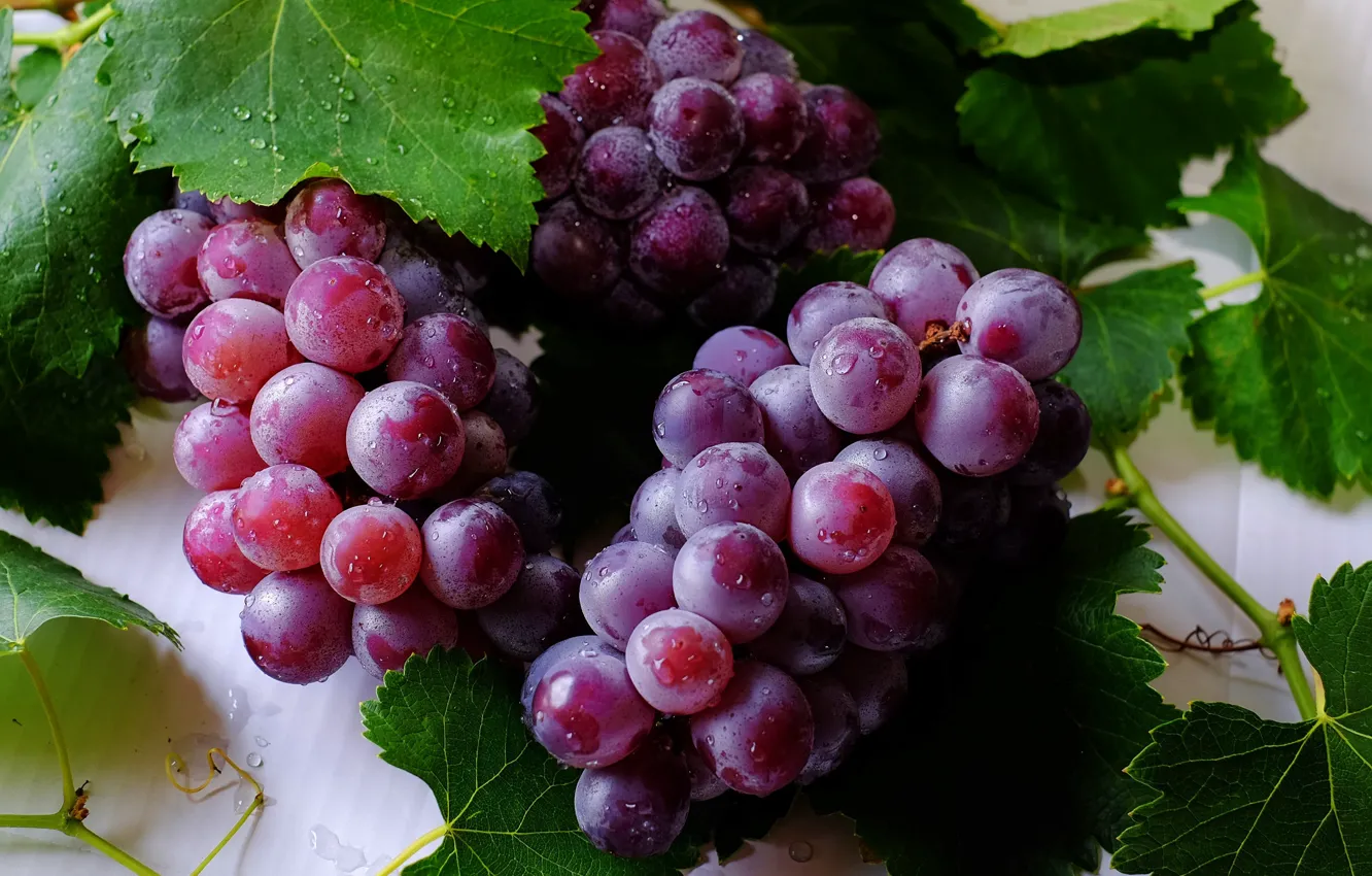 Photo wallpaper leaves, berries, grapes, brush