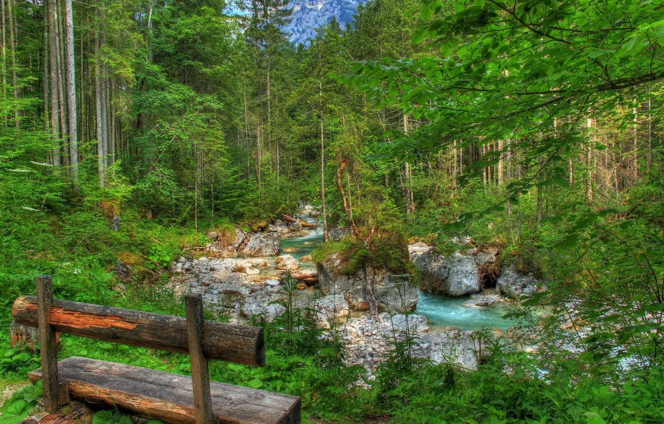 Photo wallpaper forest, trees, bench, Park, river, stream, stones, Bayern