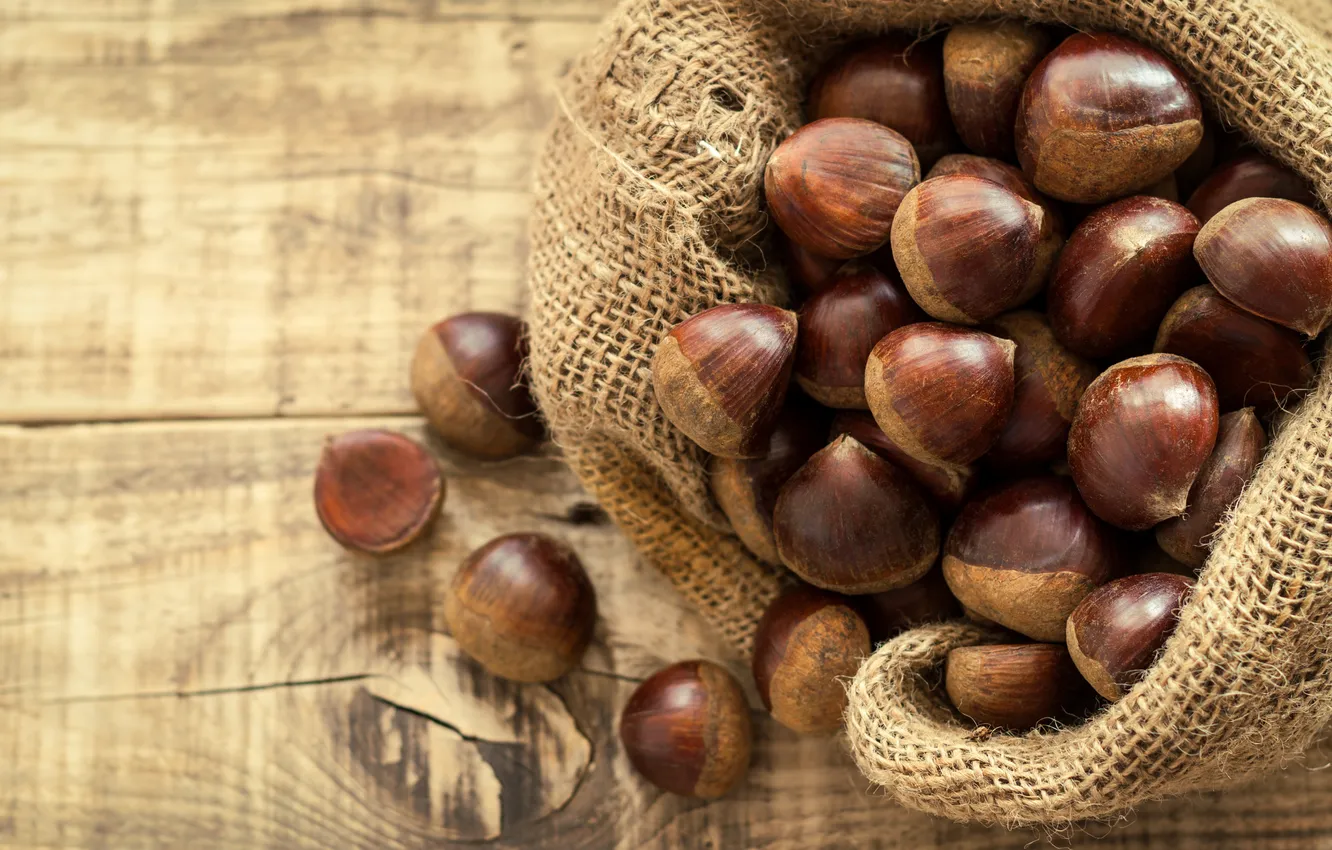 Photo wallpaper tree, nuts, bag, hazelnut, hazelnuts