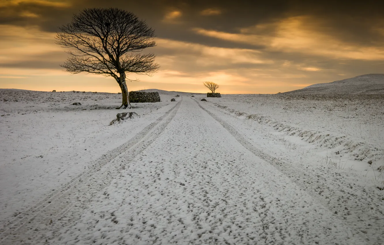 Photo wallpaper field, snow, the evening
