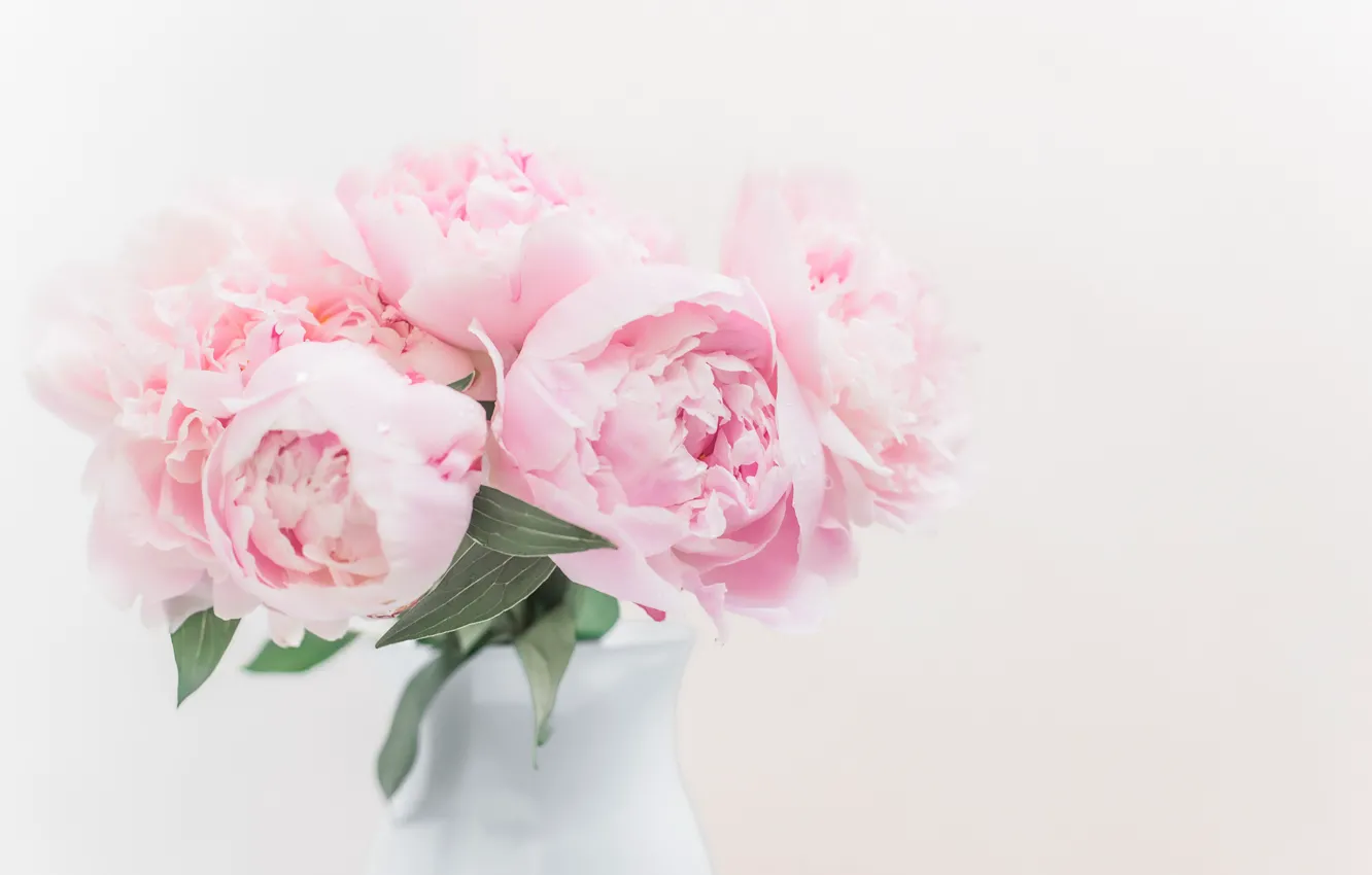 Photo wallpaper bouquet, pink, peonies, Tanya Andalina