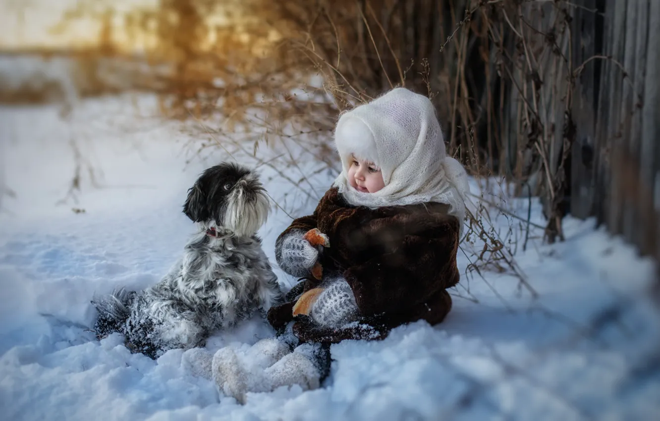 Photo wallpaper winter, snow, dog, girl, bagels, shawl