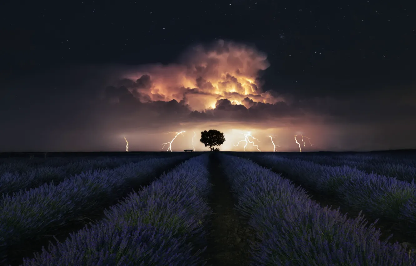 Photo wallpaper the storm, stars, stars, lavender, lavender, thunderstorm, These@r