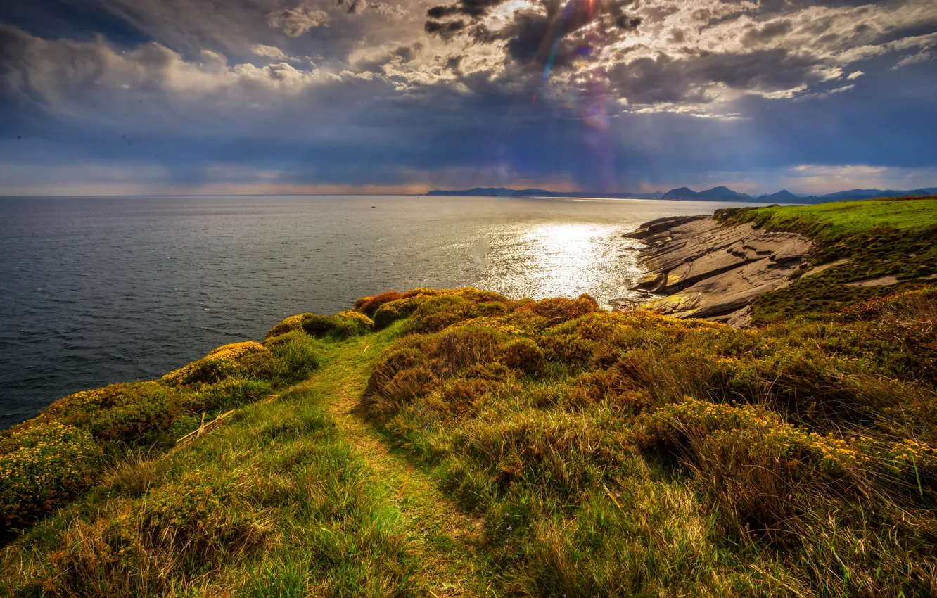 Photo wallpaper sea, the sky, grass, clouds, coast, horizon, rock, the rays of the sun