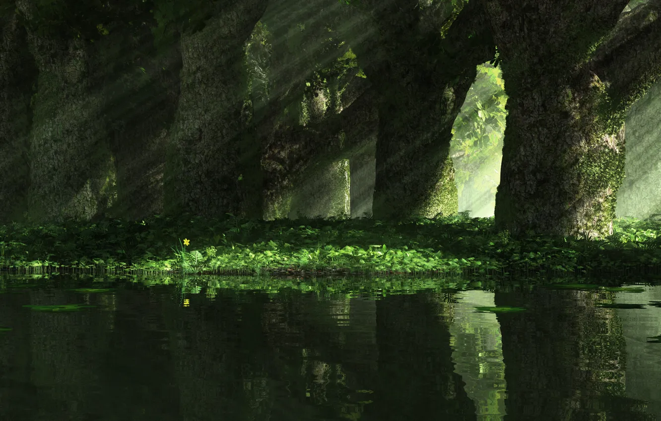 Photo wallpaper grass, rays, light, trees, nature, narcissus mirror