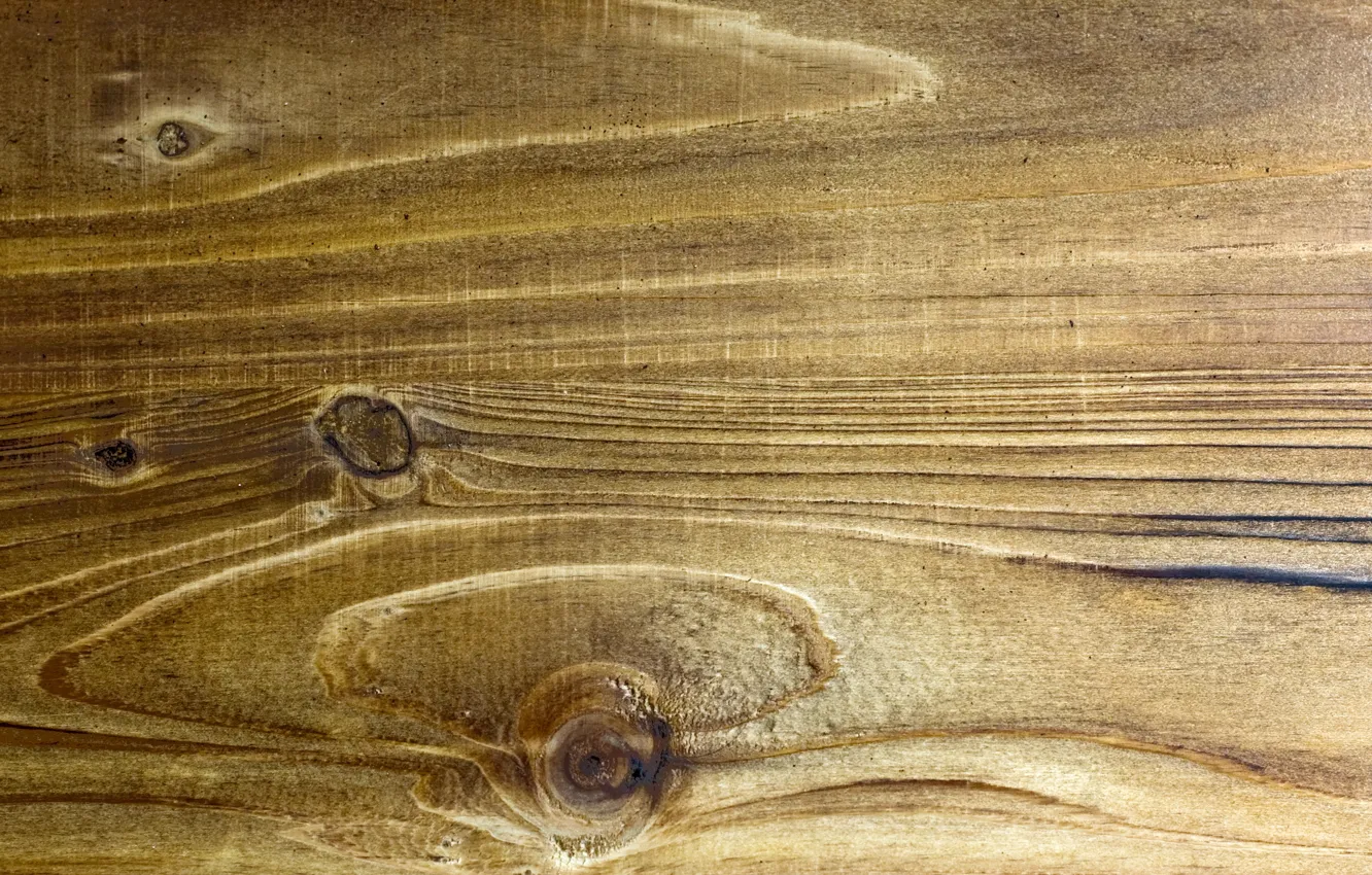 Photo wallpaper background, Texture, Wood Panel