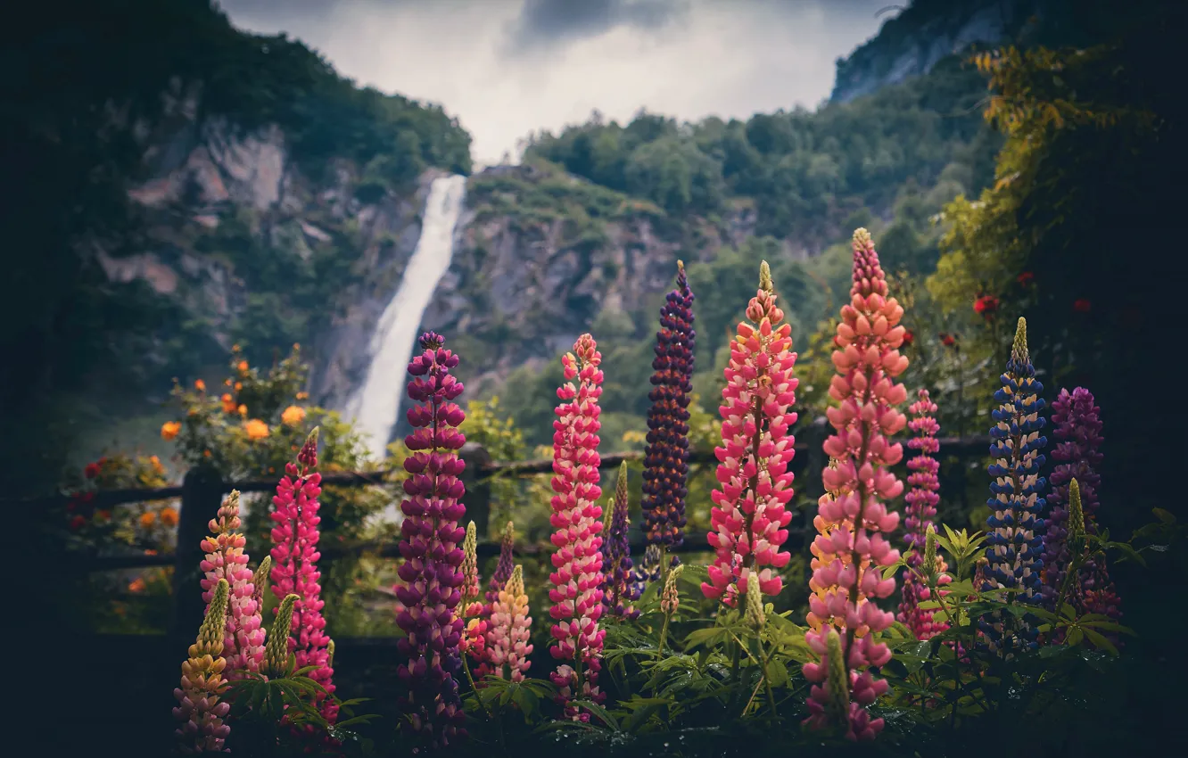 Photo wallpaper summer, flowers, mountains, nature, the dark background, bright, waterfall, the fence