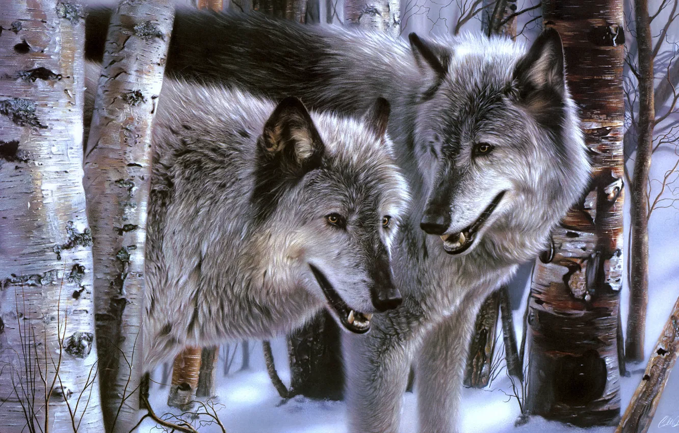 Photo wallpaper winter, forest, look, face, snow, trees, wolf, picture
