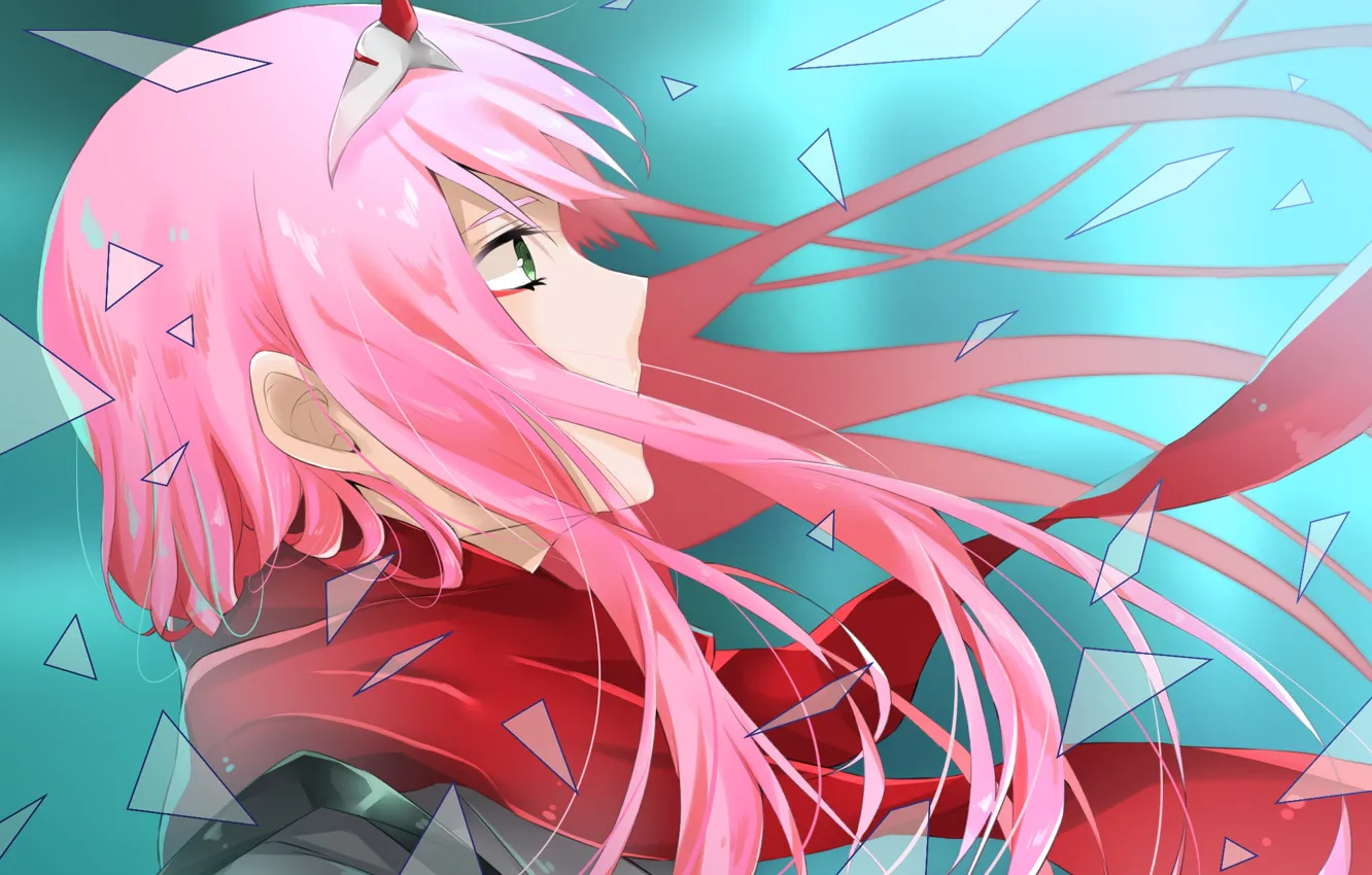 Photo wallpaper girl, fragments, the wind, 002, Darling In The Frankxx, Cute in France, Zero Two