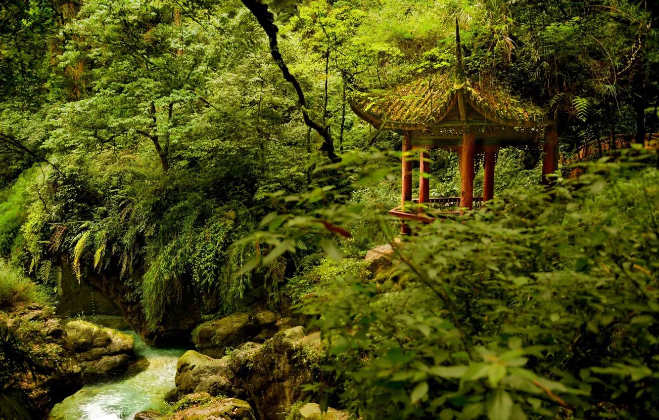 Photo wallpaper trees, Park, river, China, China, gazebo, Sichuan, Emeishan National Park