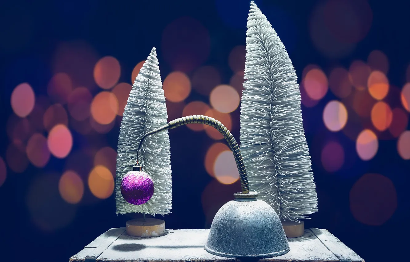 Photo wallpaper background, holiday, installation