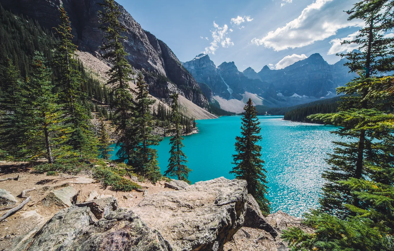Photo wallpaper forest, mountains, lake, Canada, Canada, Moraine Lake, Banff