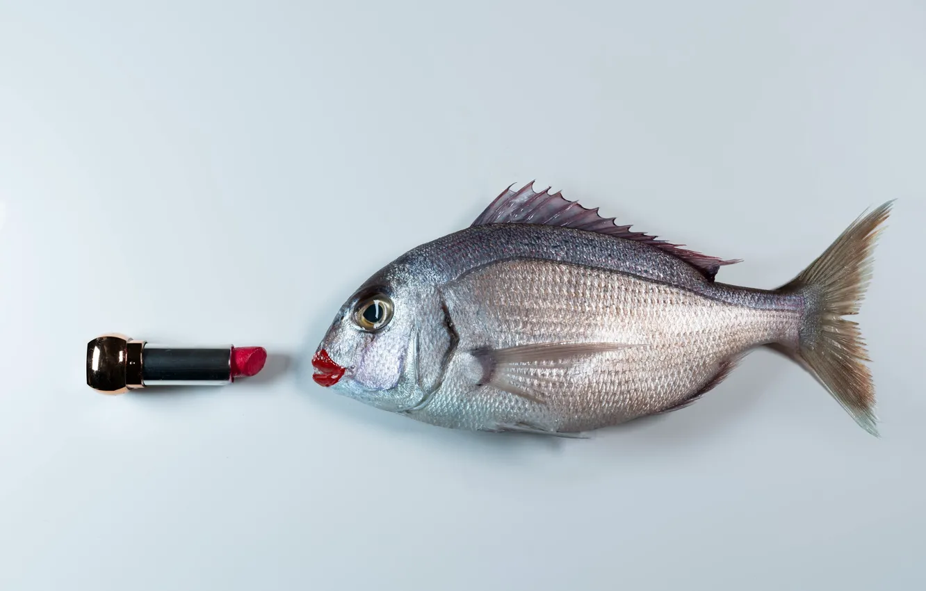 Wallpaper fish, makeup, lipstick for mobile and desktop, section разное