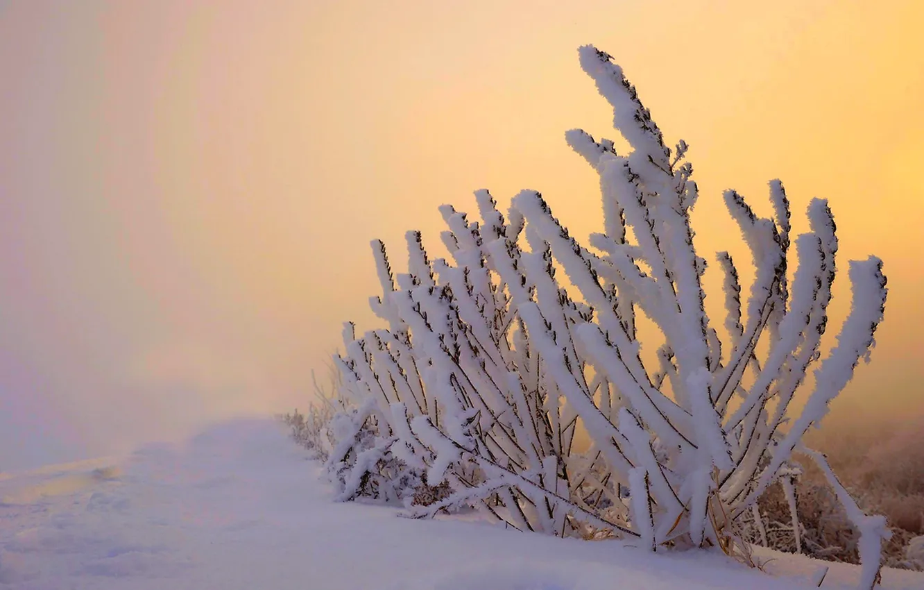 Photo wallpaper winter, the sky, snow, landscape, nature, white, sky, nature