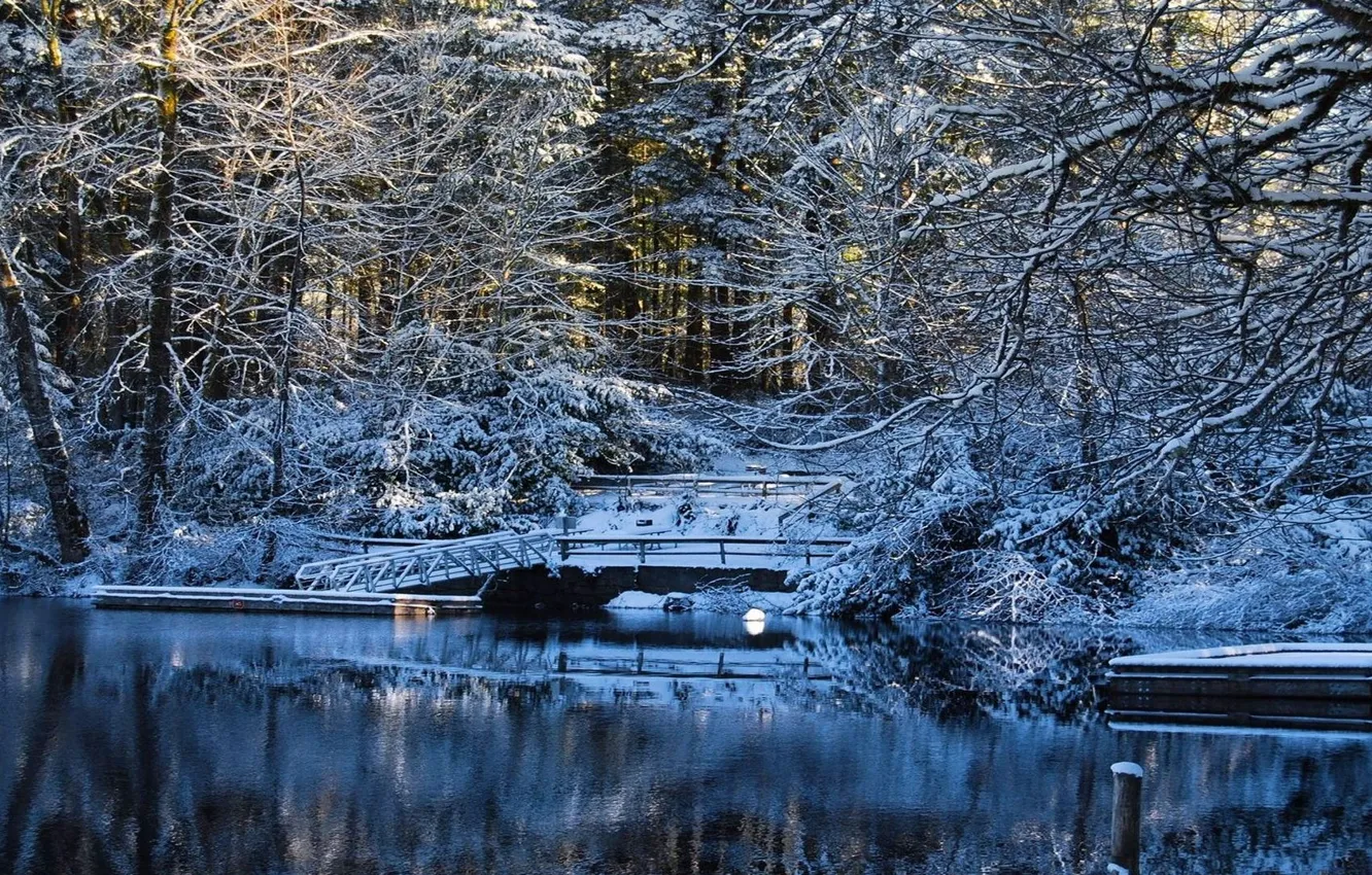 Photo wallpaper water, snow, trees, bridge, lake