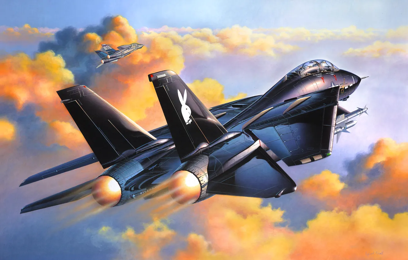 Photo wallpaper the sky, aviation, Wallpaper, fighter, F-14A Black Tomcat