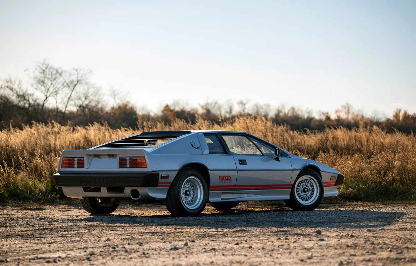 Photo wallpaper Lotus, Esprit, sports car, Lotus Esprit Turbo