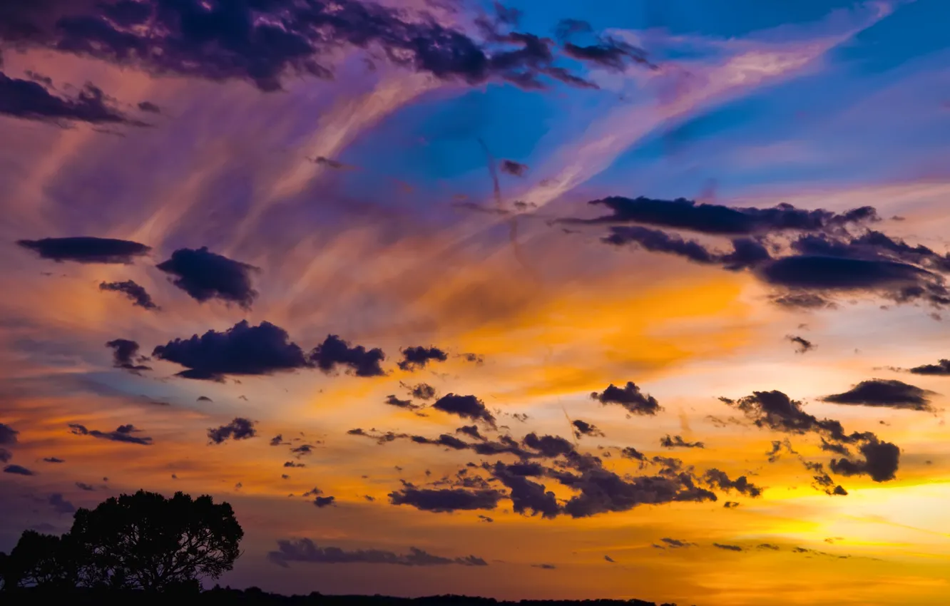 Photo wallpaper the sky, clouds, trees, sunset