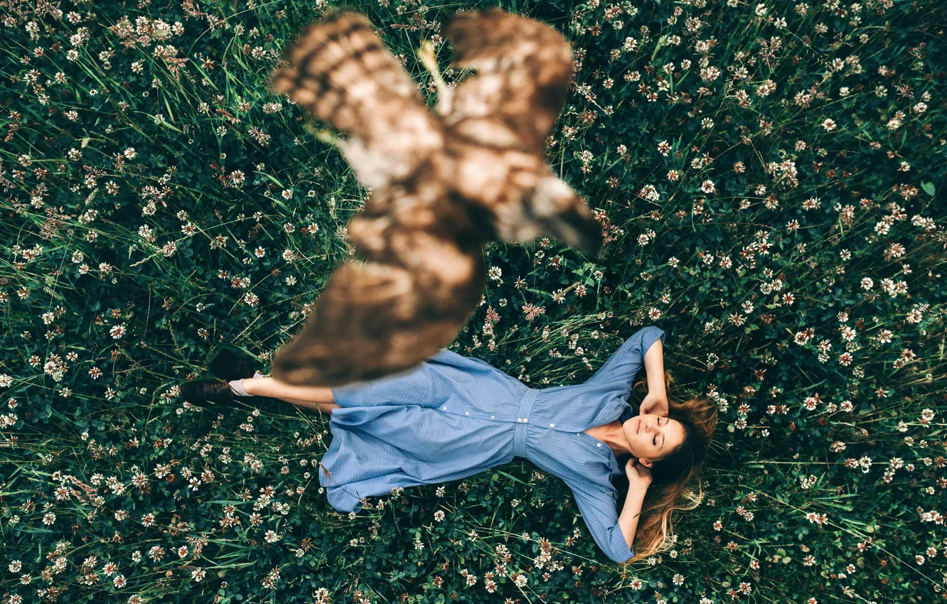 Photo wallpaper grass, girl, bird, flight, Rosie Hardy