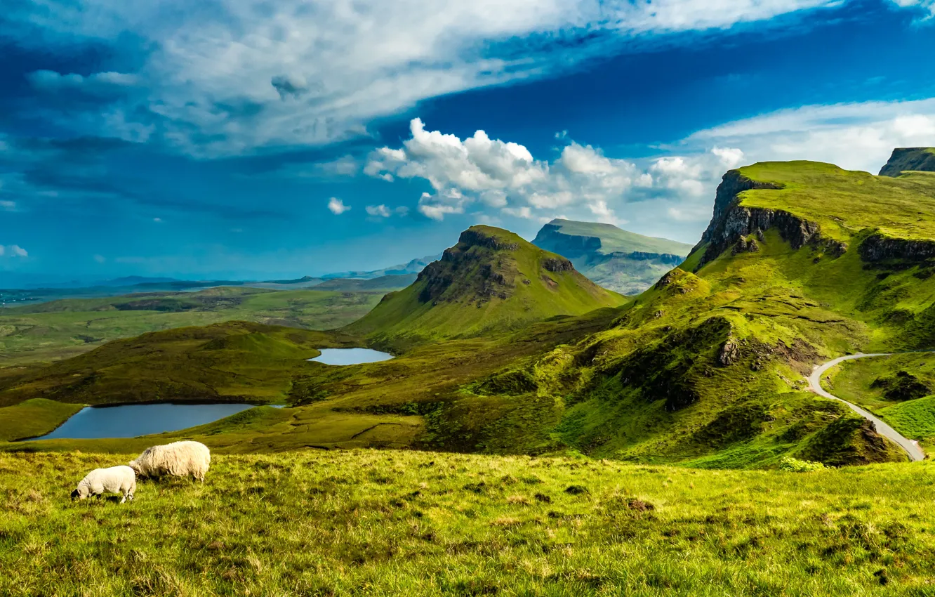 Photo wallpaper landscape, mountains, nature, island, sheep, Scotland, meadows, lake