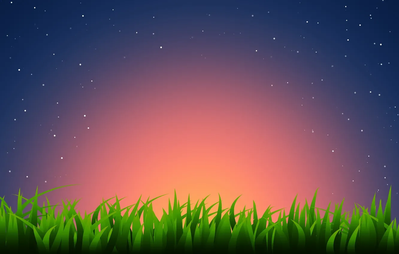 Photo wallpaper grass, stars, sunset
