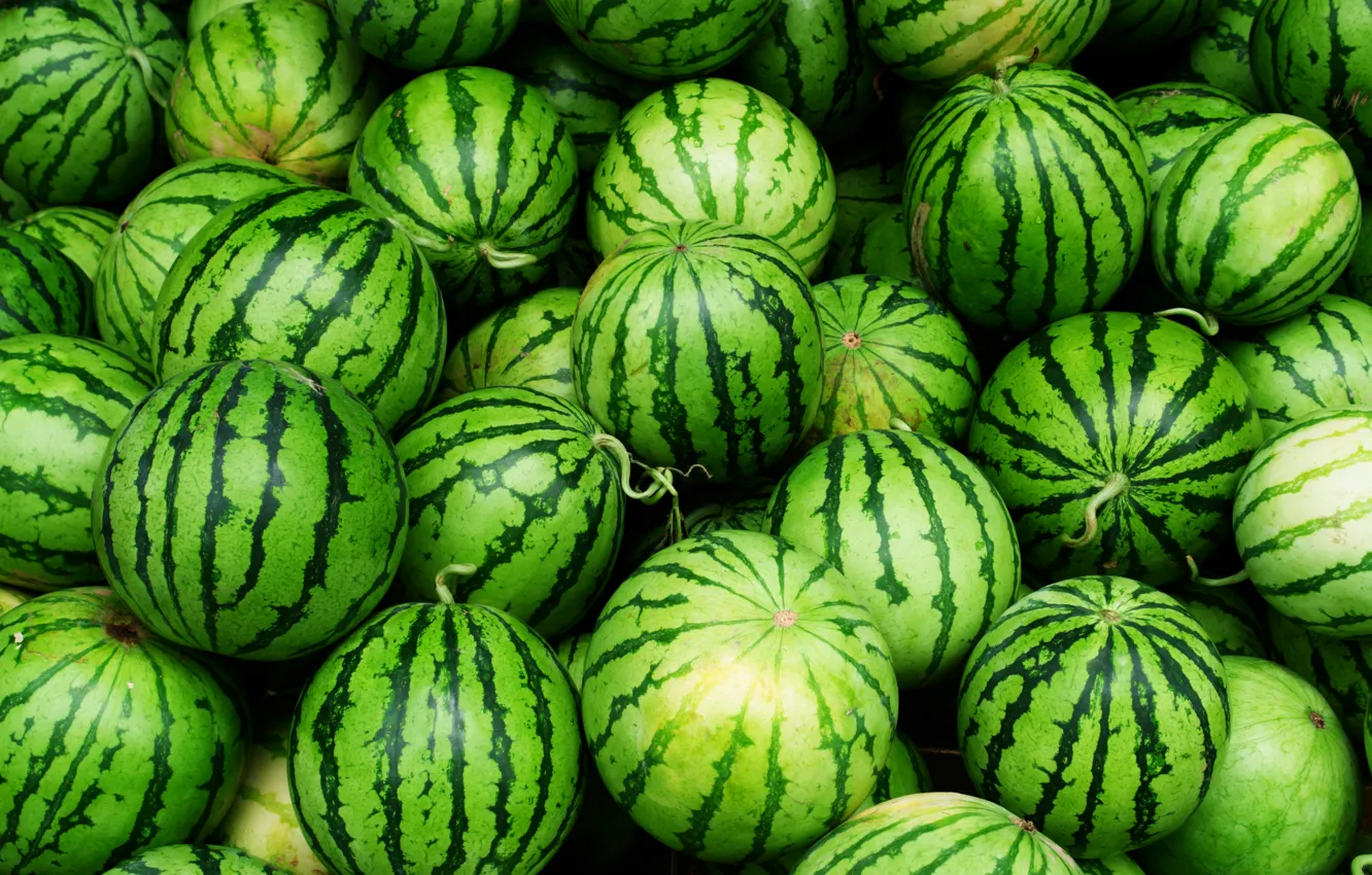 Photo wallpaper strips, green, watermelon