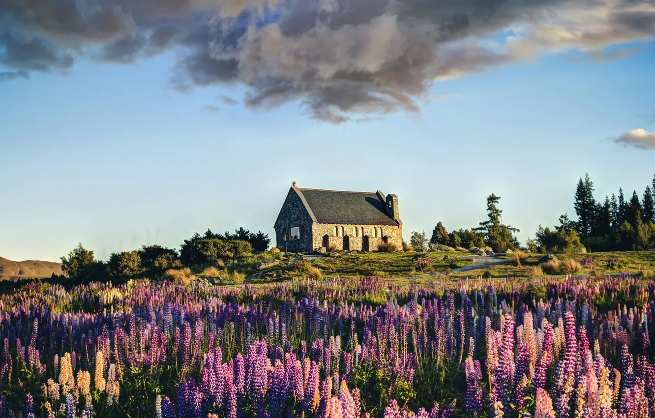 Photo wallpaper the sky, clouds, flowers, house, hill, Heather
