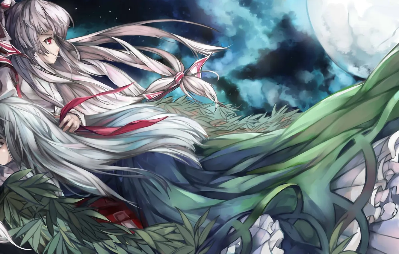 Photo wallpaper girl, night, the moon, tape, touhou, Fujiwara no Mokou, Kamishirasawa Keine