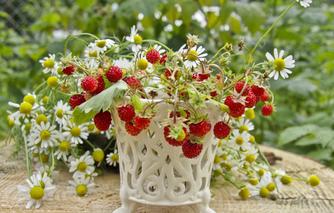 Photo wallpaper greens, summer, flowers, berries, chamomile, garden, strawberries, a bunch