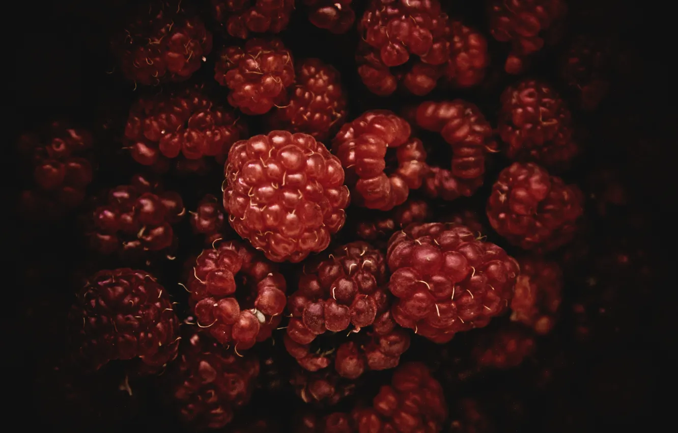 Photo wallpaper red, berries, raspberry, black