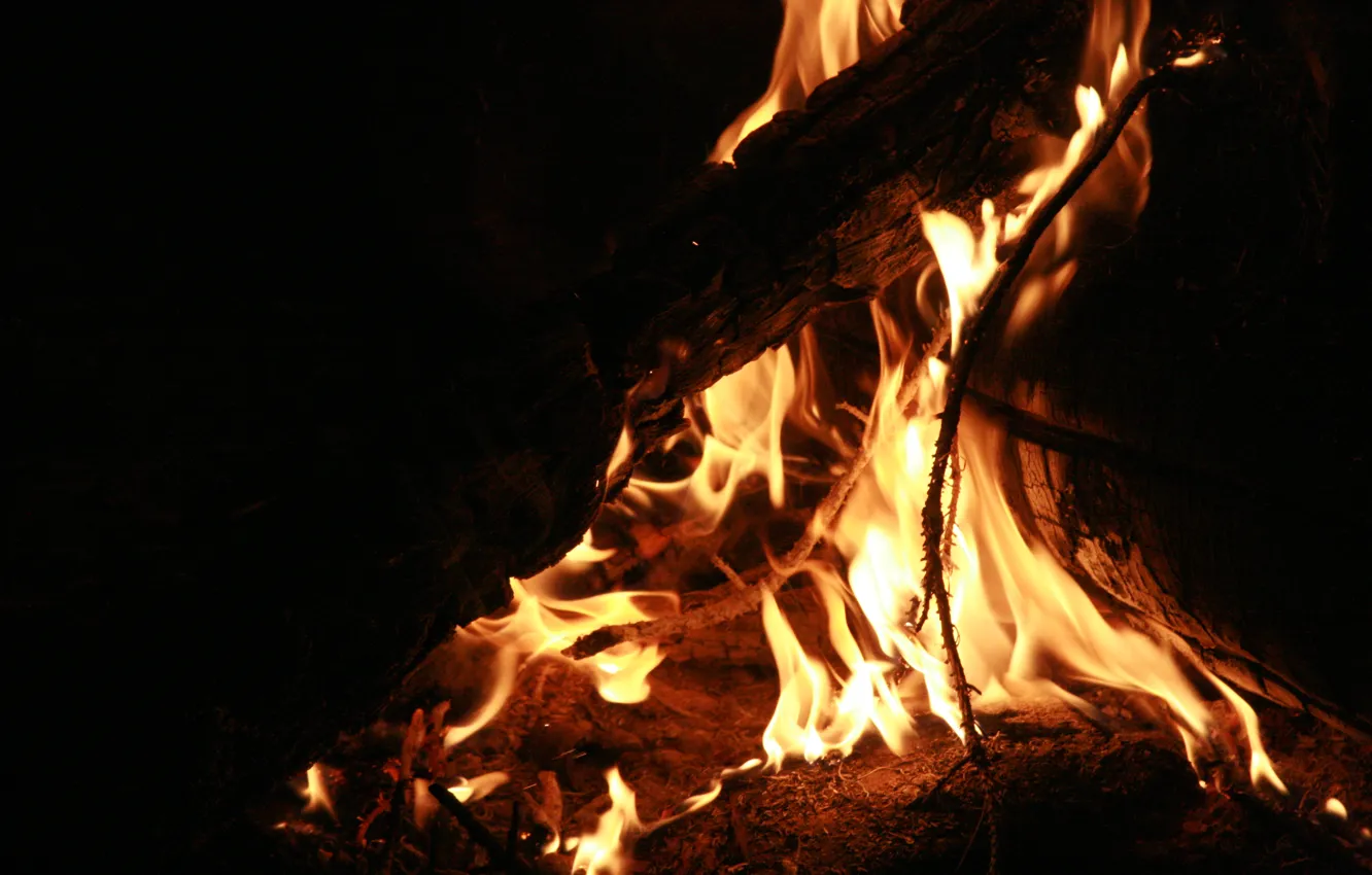 Photo wallpaper fire, stay, the evening, the fire, wood, different