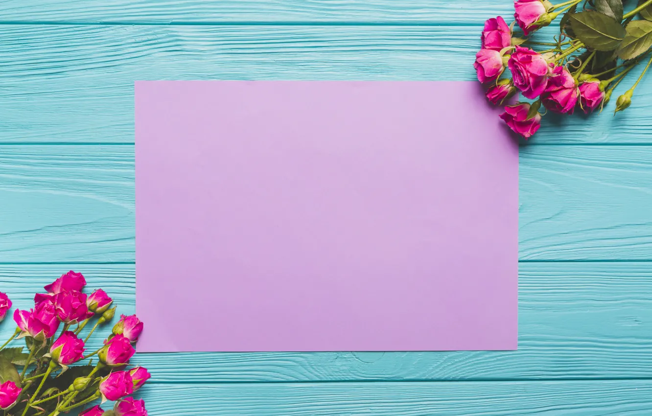 Photo wallpaper flowers, paper, roses, buds