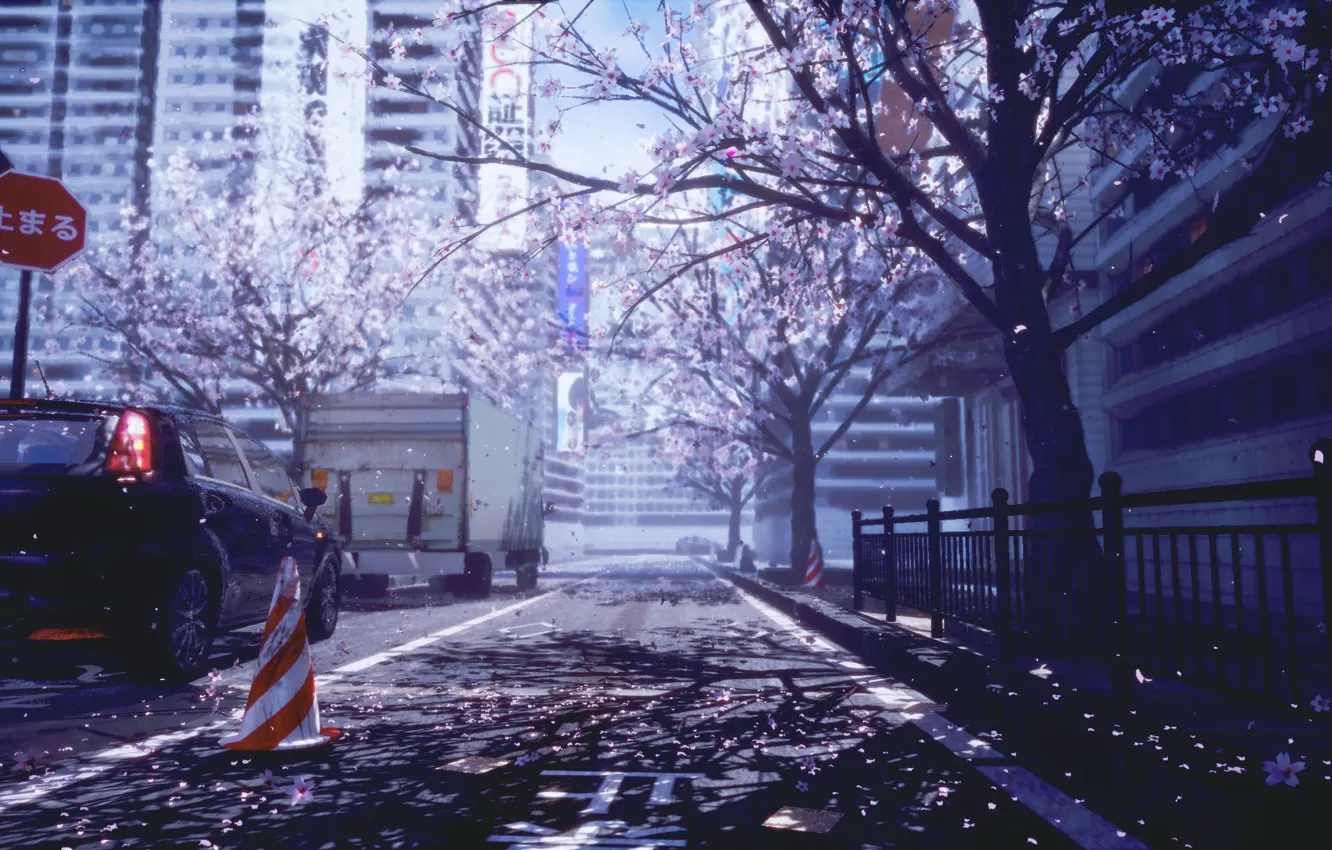 Photo wallpaper auto, the city, spring, Sakura