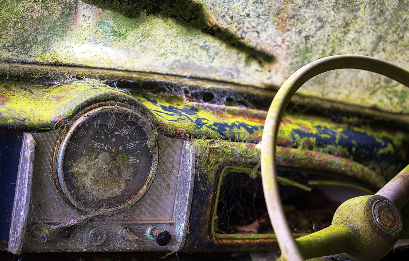 Photo wallpaper machine, macro, moss, the wheel