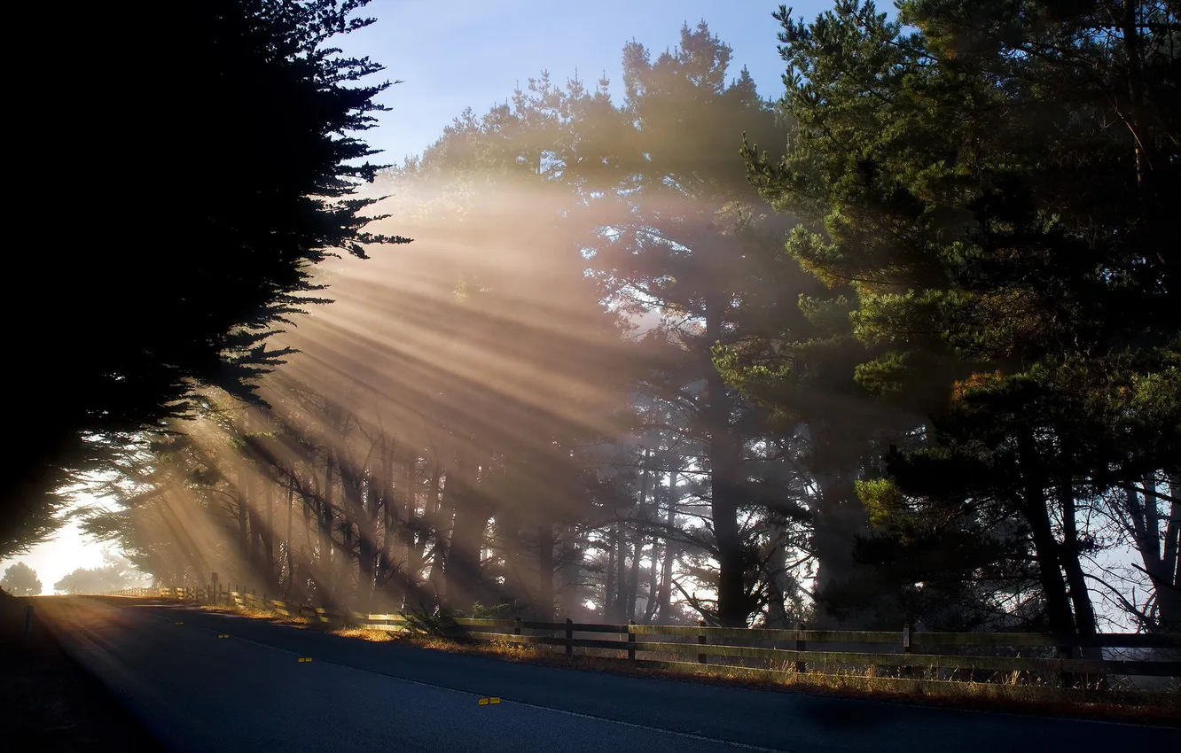 Photo wallpaper road, light, landscape, morning