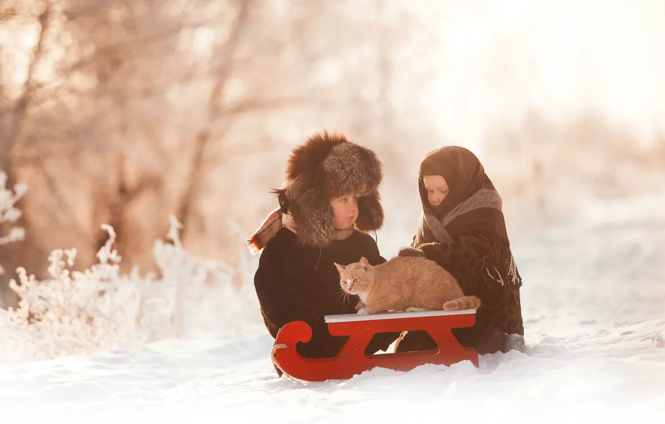 Photo wallpaper winter, cat, snow, children, boy, girl, sled