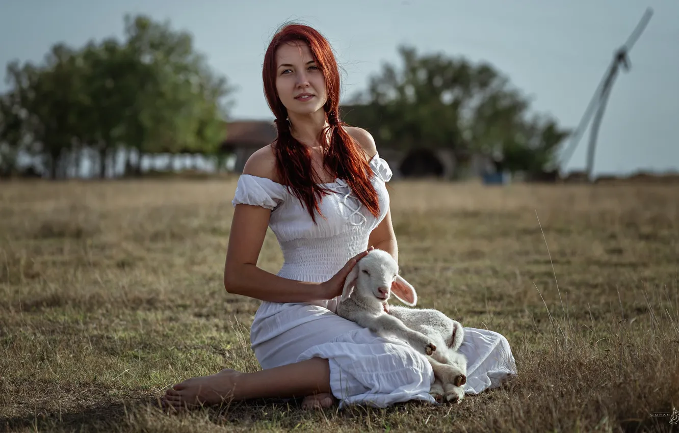 Photo wallpaper girl, meadow, lamb, Goran Dobozhanov