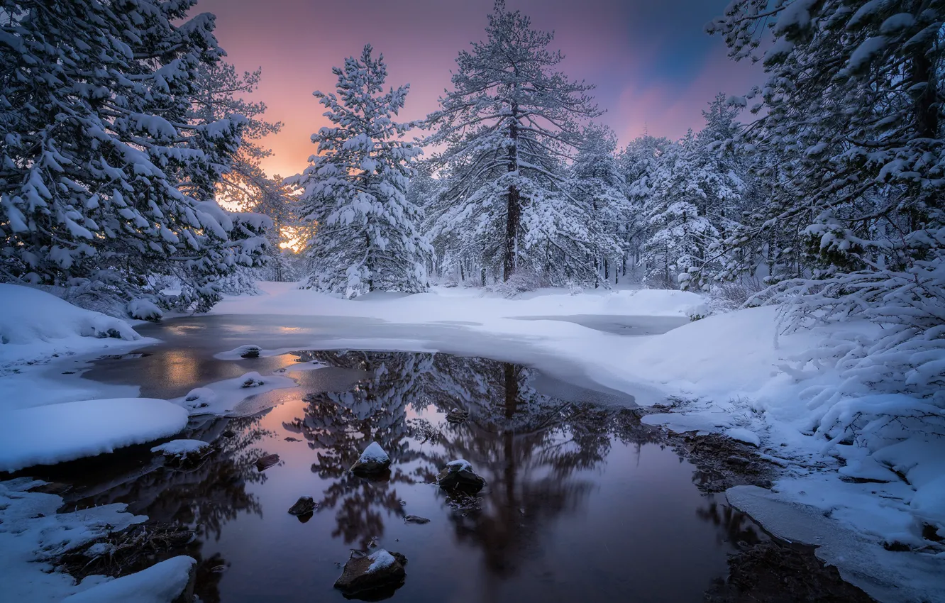 Photo wallpaper winter, forest, snow, trees, sunset, river, Cyprus