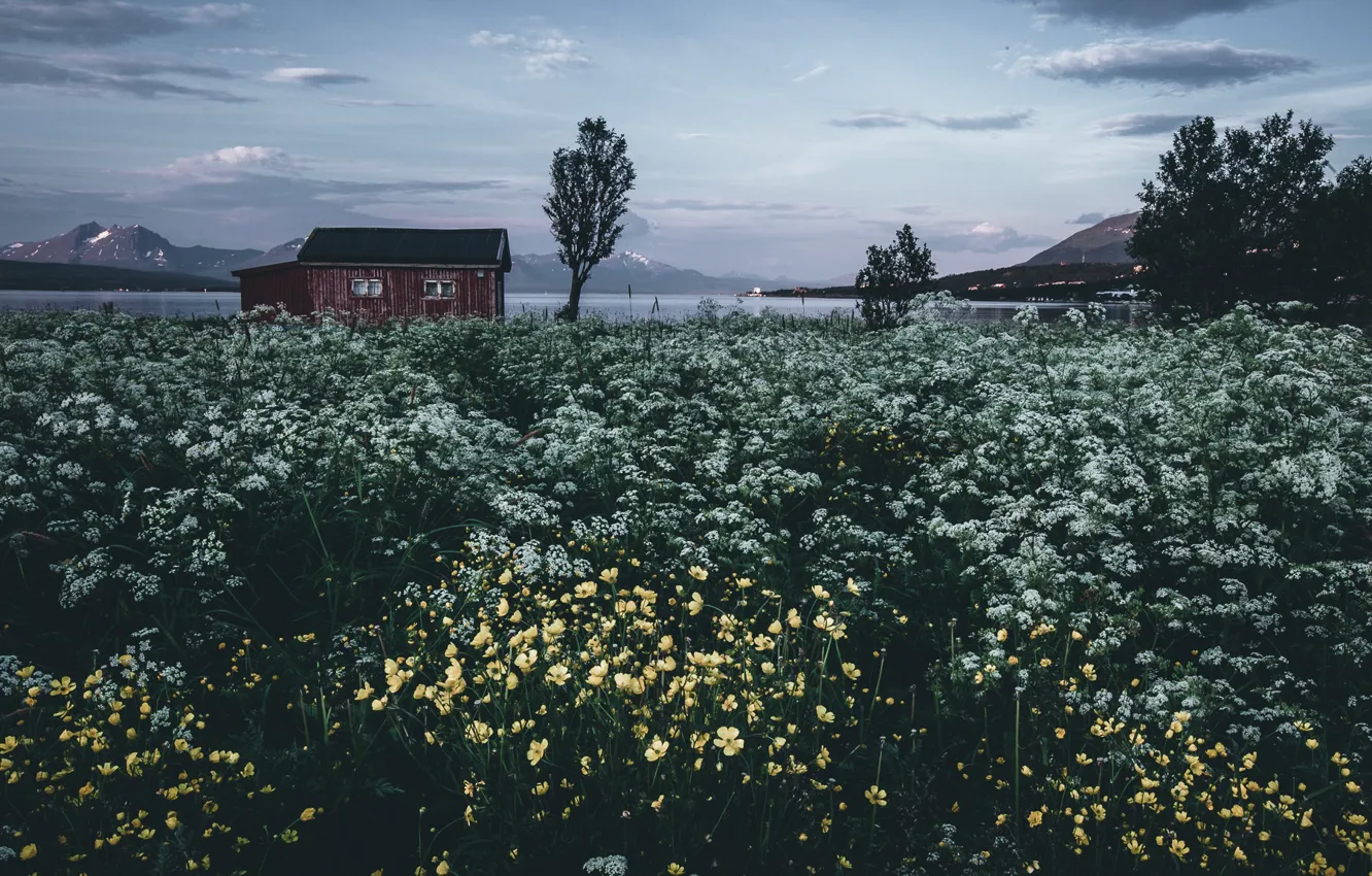 Photo wallpaper flowers, mountains, lake, home, the evening, Norway