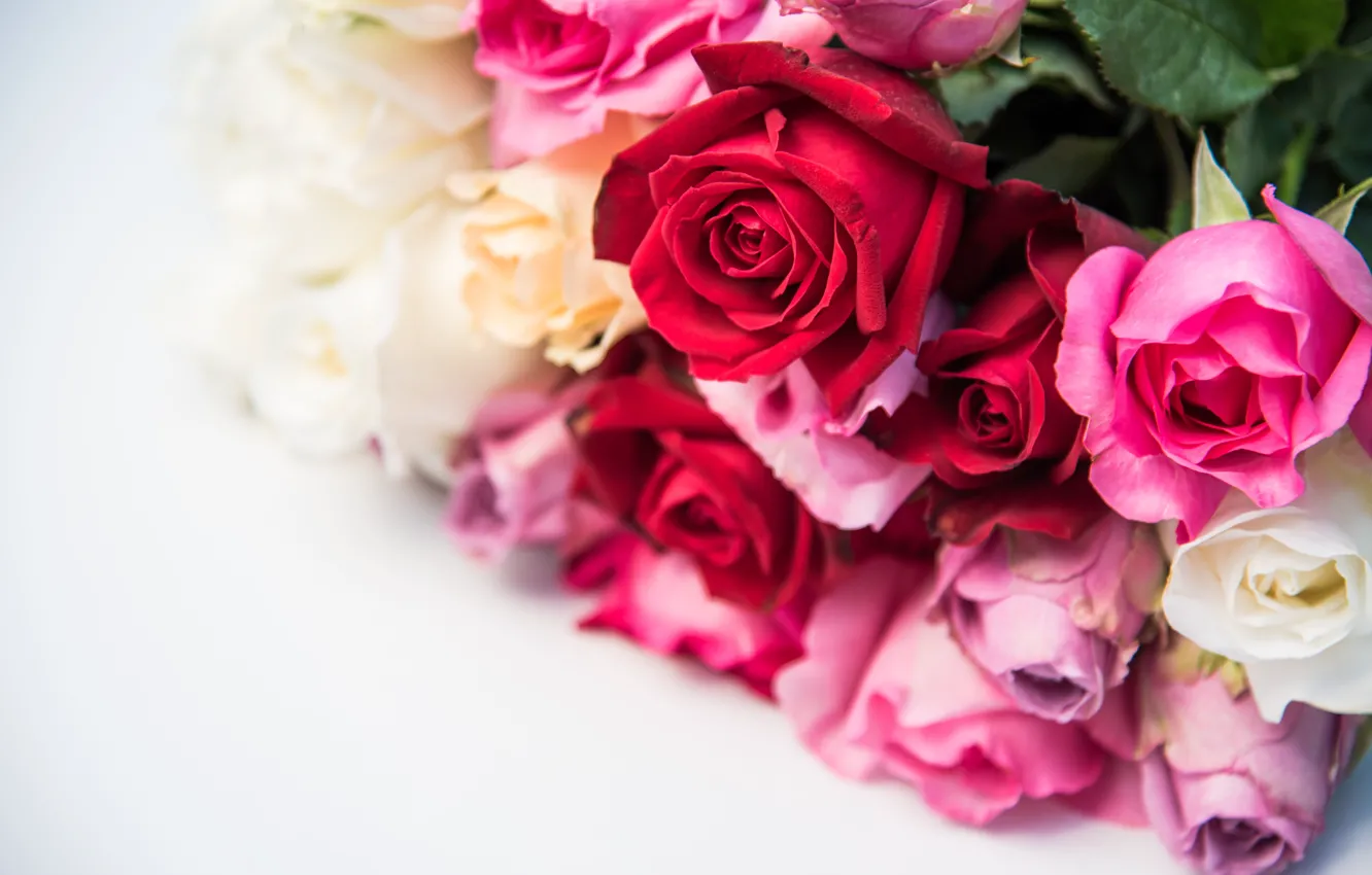 Photo wallpaper flowers, roses, bouquet, red, buds, pink, flowers, romantic