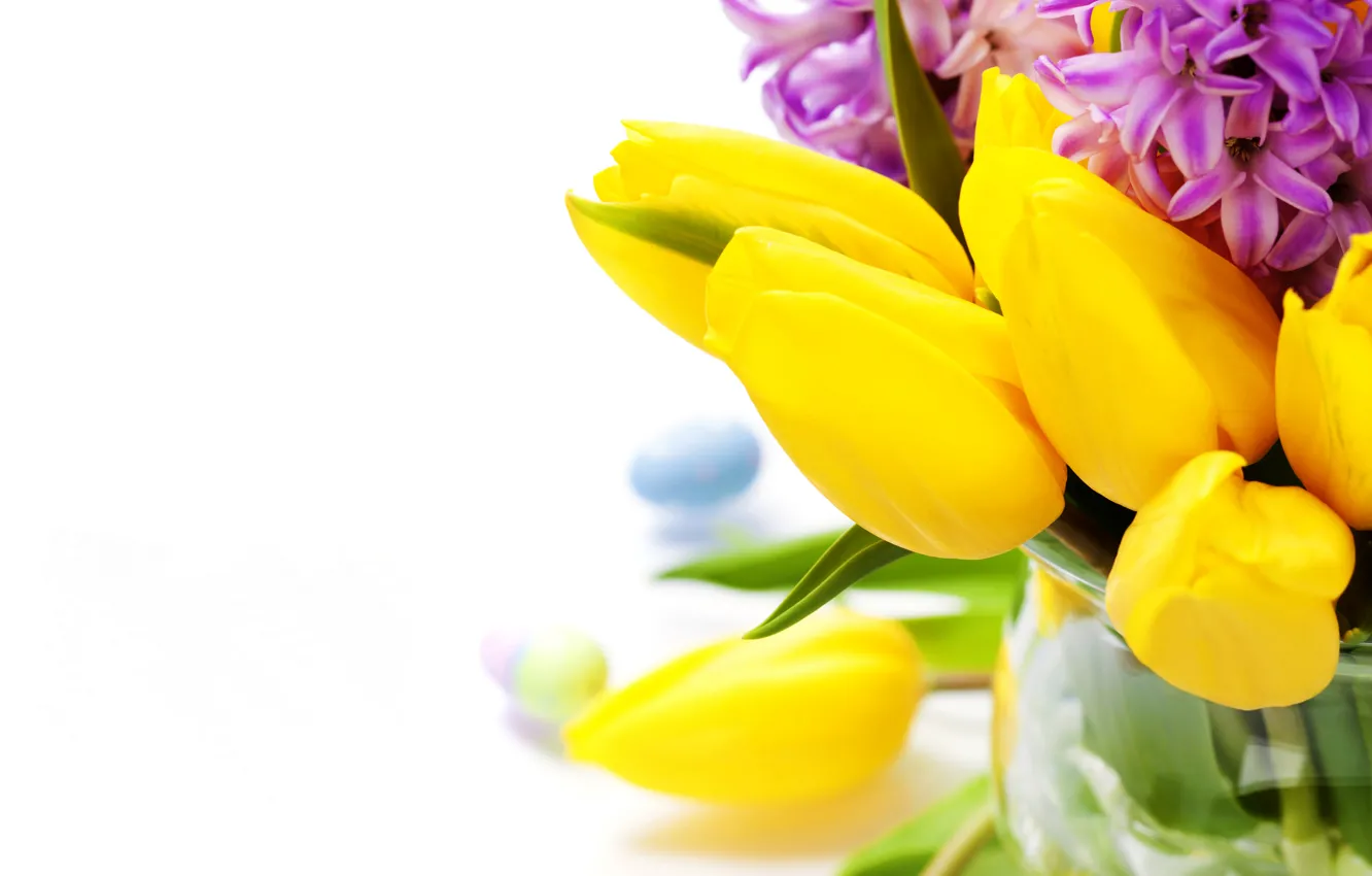 Photo wallpaper photo, Flowers, Tulips, Closeup, Hyacinths