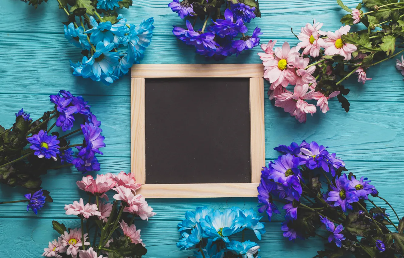 Photo wallpaper flowers, Board, spring, colorful, chrysanthemum, wood, blue, flowers