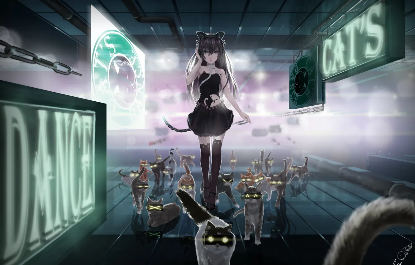 Photo wallpaper cat, girl, art, neko, lepus