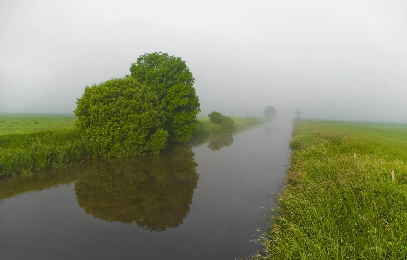 Photo wallpaper summer, nature, fog, river, morning, green, Bank