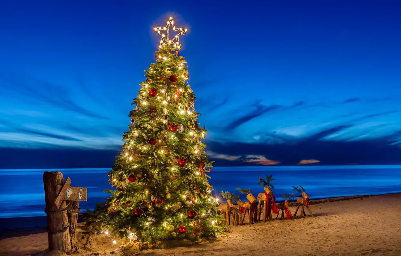 Photo wallpaper deer, beach, © candice Staver harris, tree